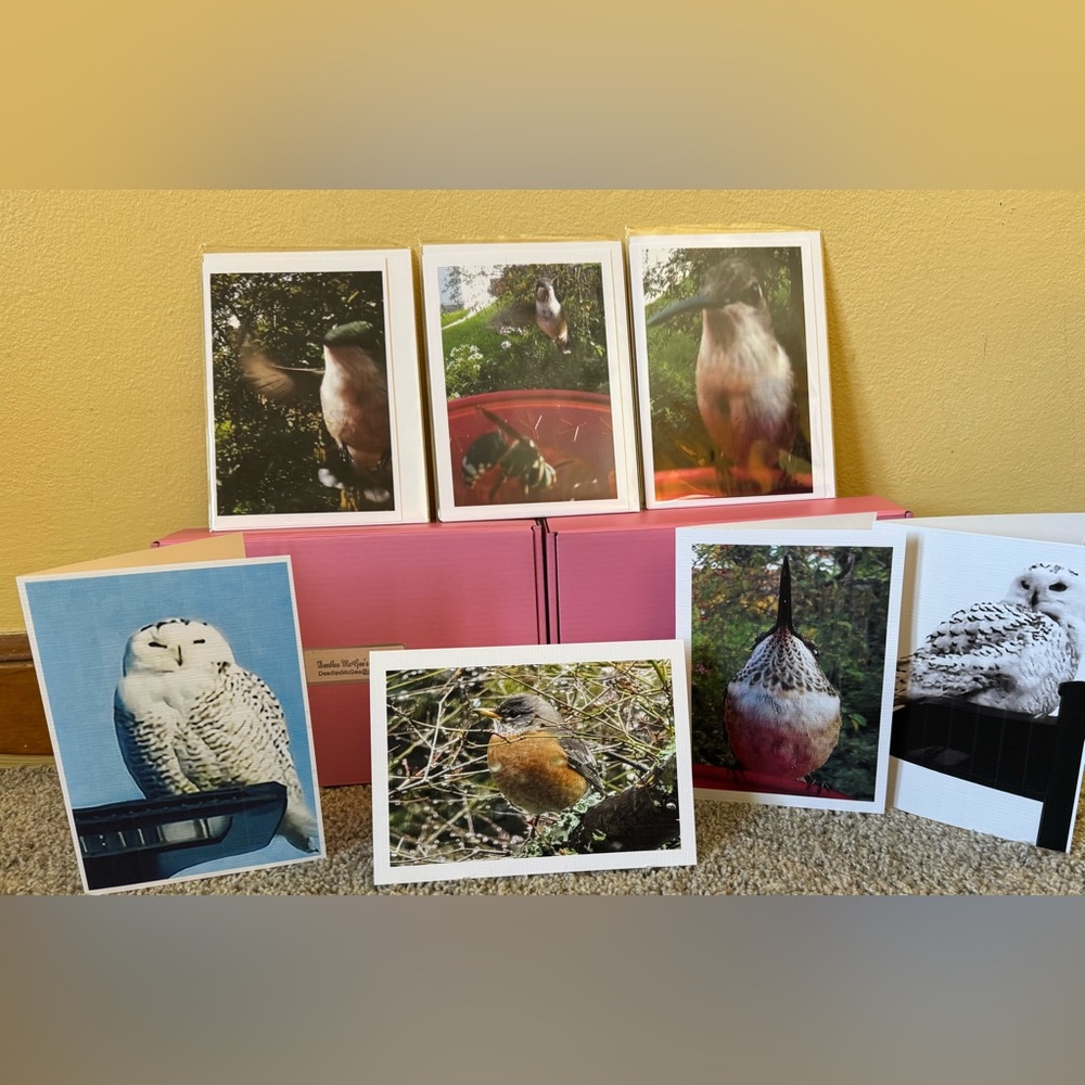 Set of 7 Bird Photography Greeting Cards.